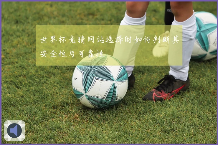 世界杯竞猜网站选择时如何判断其安全性与可靠性
