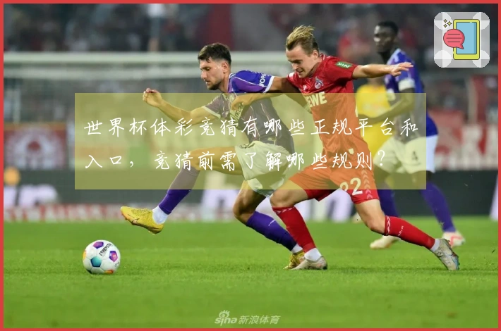 世界杯体彩竞猜有哪些正规平台和入口，竞猜前需了解哪些规则？