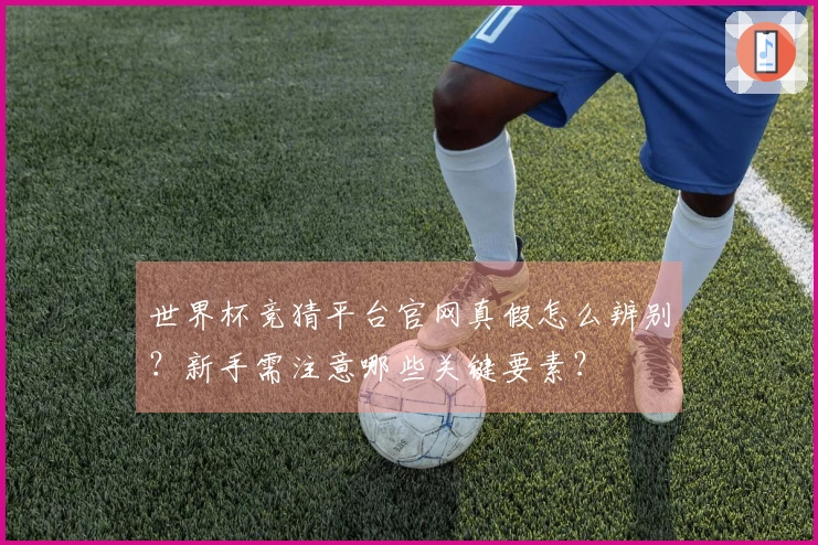 世界杯竞猜平台官网真假怎么辨别？新手需注意哪些关键要素？