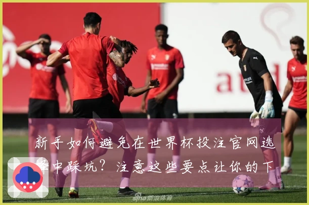 新手如何避免在世界杯投注官网选择中踩坑？注意这些要点让你的下注更安全