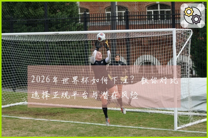 2026年世界杯如何下注？教你对比选择正规平台与潜在风险