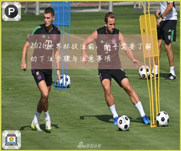 2026世界杯投注前，新手需要了解的下注步骤与注意事项