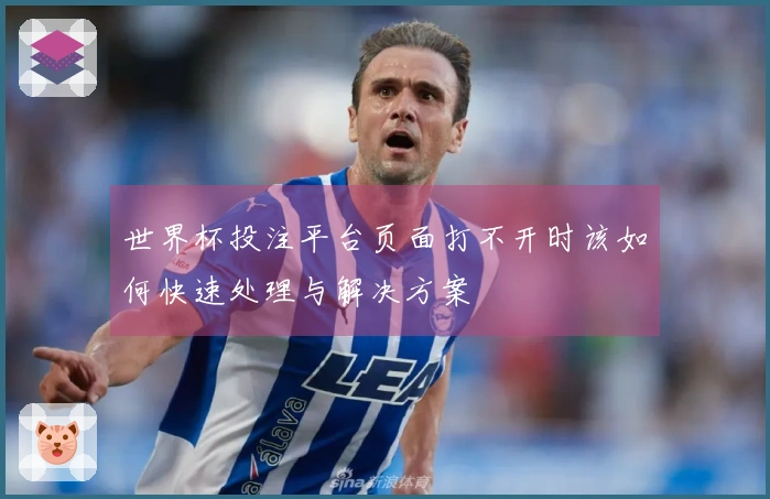 世界杯投注平台页面打不开时该如何快速处理与解决方案