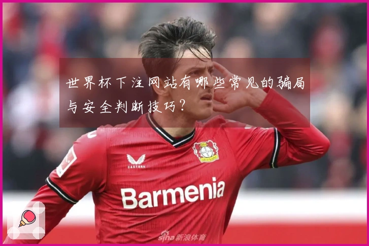 世界杯下注网站有哪些常见的骗局与安全判断技巧？