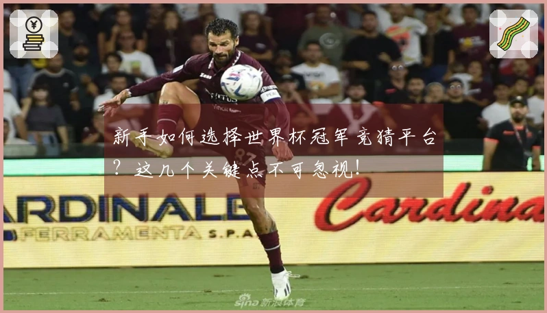 新手如何选择世界杯冠军竞猜平台？这几个关键点不可忽视！