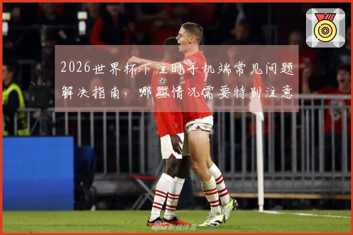 2026世界杯下注时手机端常见问题解决指南，哪些情况需要特别注意？