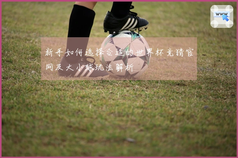 新手如何选择合适的世界杯竞猜官网及大小球玩法解析