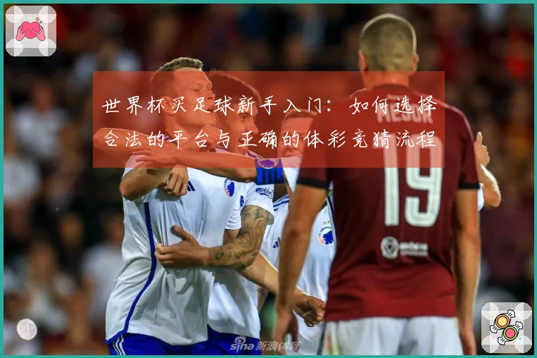 世界杯买足球新手入门：如何选择合法的平台与正确的体彩竞猜流程？