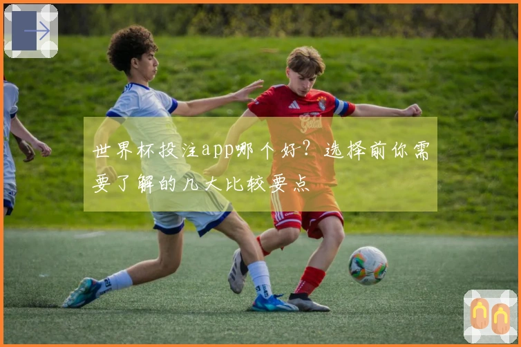 世界杯投注app哪个好？选择前你需要了解的几大比较要点