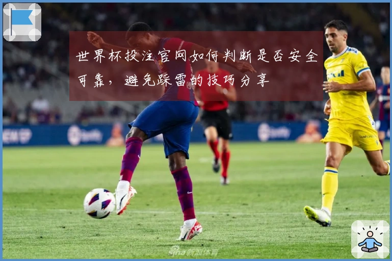 世界杯投注官网如何判断是否安全可靠，避免踩雷的技巧分享