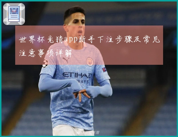 世界杯竞猜app新手下注步骤及常见注意事项详解