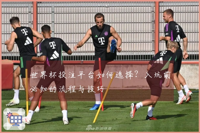 世界杯投注平台如何选择？入坑前必知的流程与技巧