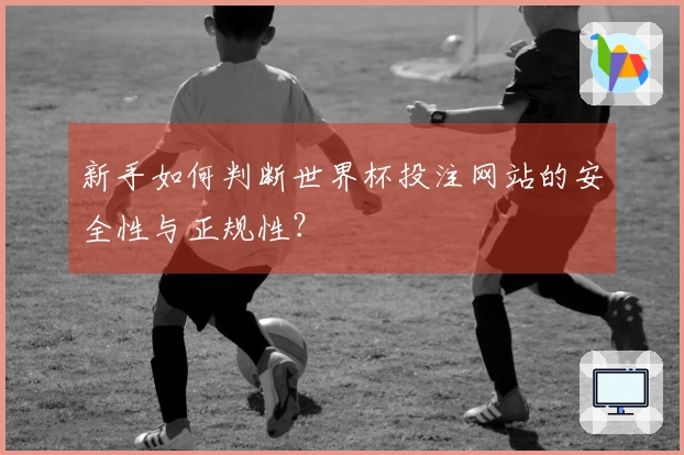 新手如何判断世界杯投注网站的安全性与正规性？