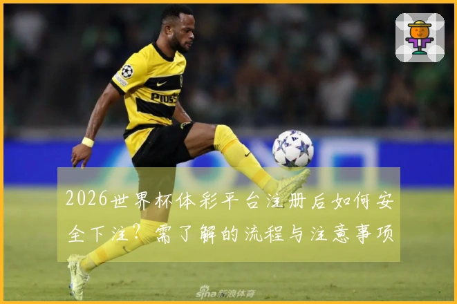 2026世界杯体彩平台注册后如何安全下注？需了解的流程与注意事项