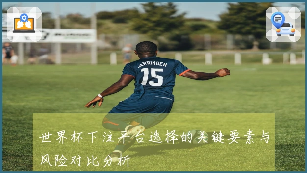 世界杯下注平台选择的关键要素与风险对比分析