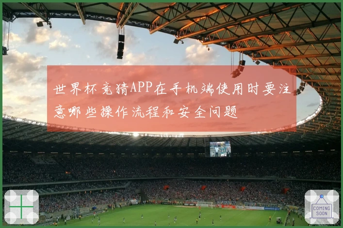 世界杯竞猜APP在手机端使用时要注意哪些操作流程和安全问题