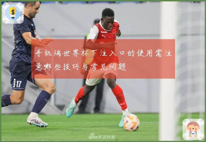 手机端世界杯下注入口的使用需注意哪些技巧与常见问题
