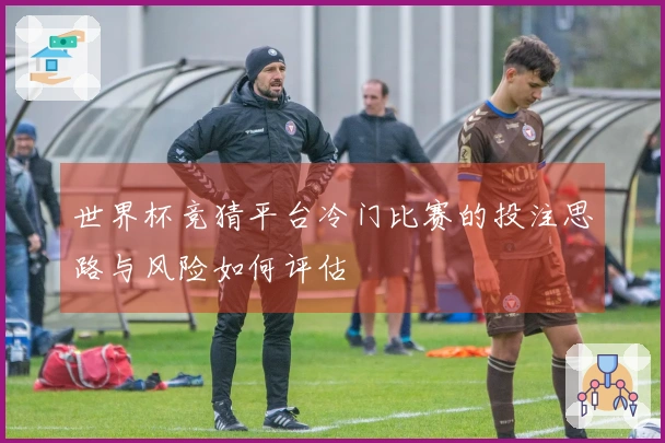 世界杯竞猜平台冷门比赛的投注思路与风险如何评估