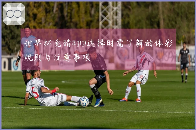 世界杯竞猜app选择时需了解的体彩规则与注意事项