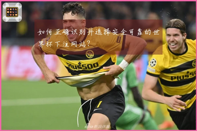 如何正确识别并选择安全可靠的世界杯下注网站？