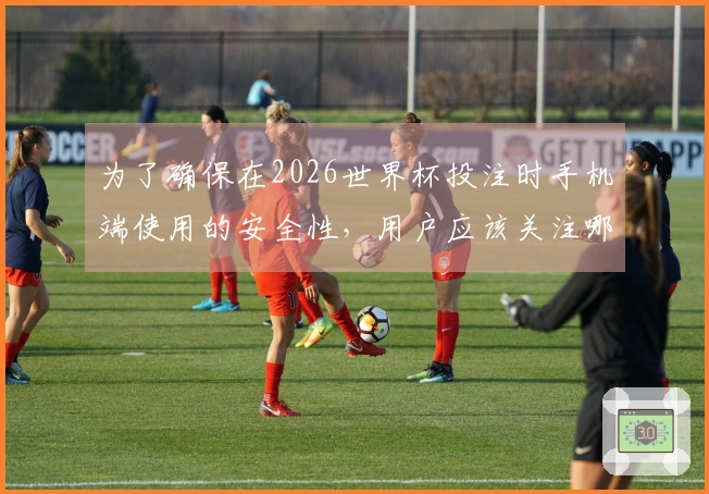 为了确保在2026世界杯投注时手机端使用的安全性，用户应该关注哪些关键问题？