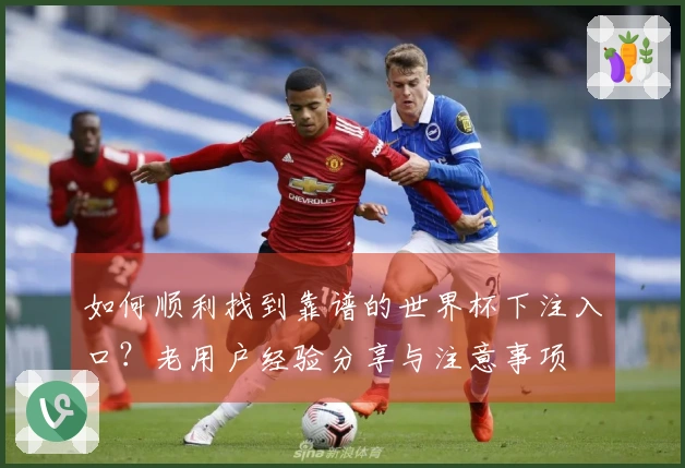 如何顺利找到靠谱的世界杯下注入口？老用户经验分享与注意事项