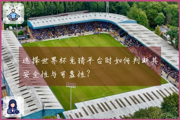 选择世界杯竞猜平台时如何判断其安全性与可靠性？