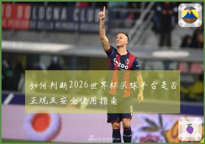 如何判断2026世界杯买球平台是否正规及安全使用指南