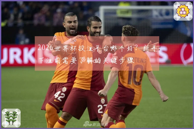 2026世界杯投注平台哪个好？新手下注前需要了解的关键步骤