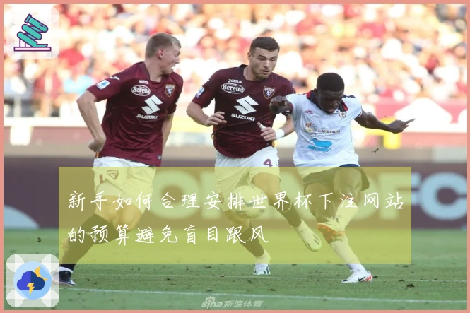 新手如何合理安排世界杯下注网站的预算避免盲目跟风