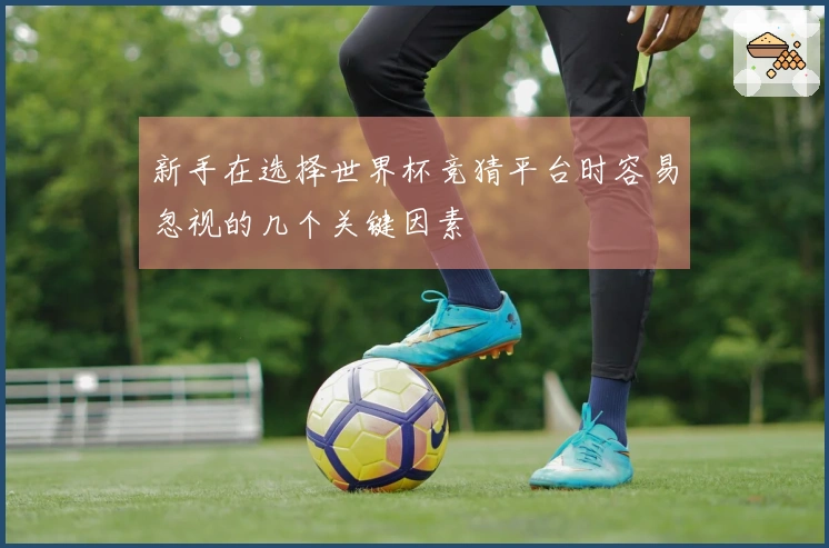 新手在选择世界杯竞猜平台时容易忽视的几个关键因素