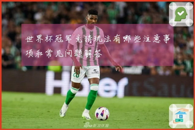 世界杯冠军竞猜玩法有哪些注意事项和常见问题解答