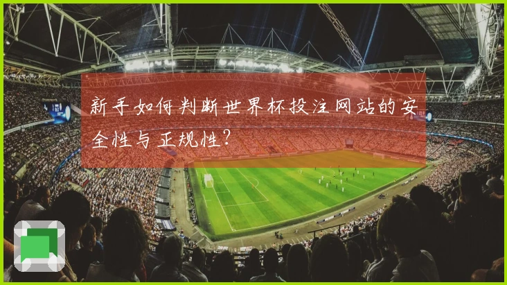 新手如何判断世界杯投注网站的安全性与正规性？