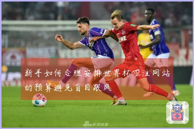 新手如何合理安排世界杯下注网站的预算避免盲目跟风