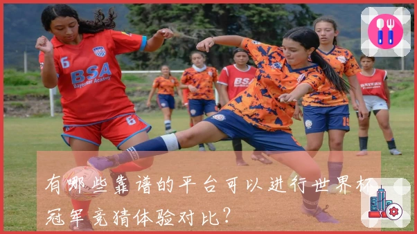 有哪些靠谱的平台可以进行世界杯冠军竞猜体验对比？