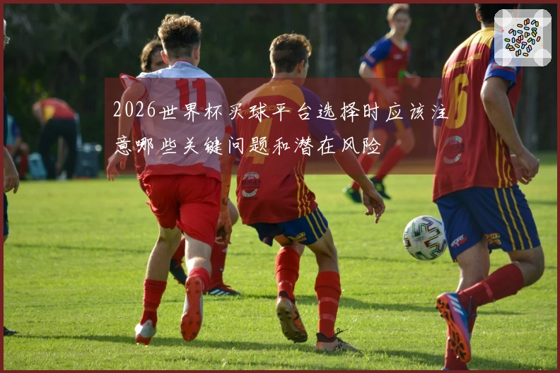 2026世界杯买球平台选择时应该注意哪些关键问题和潜在风险