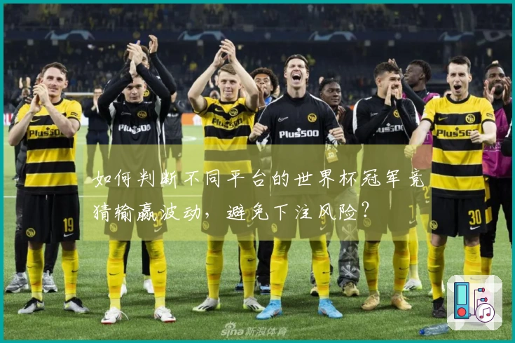 如何判断不同平台的世界杯冠军竞猜输赢波动，避免下注风险？