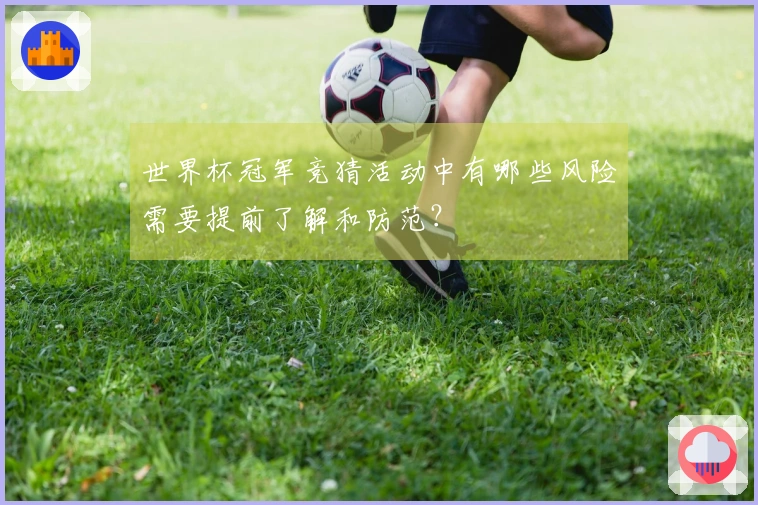 世界杯冠军竞猜活动中有哪些风险需要提前了解和防范？