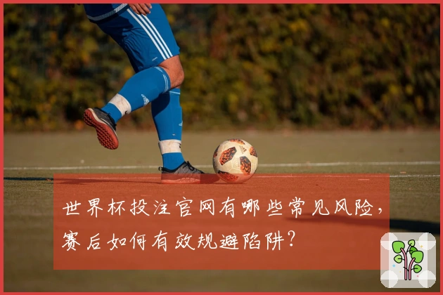 世界杯投注官网有哪些常见风险，赛后如何有效规避陷阱？