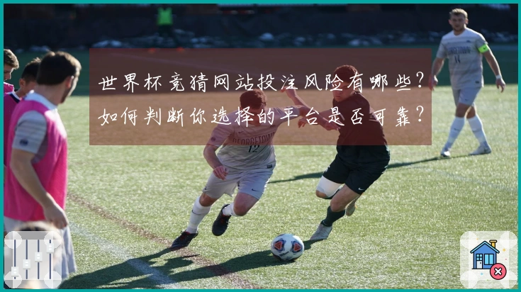 世界杯竞猜网站投注风险有哪些？如何判断你选择的平台是否可靠？