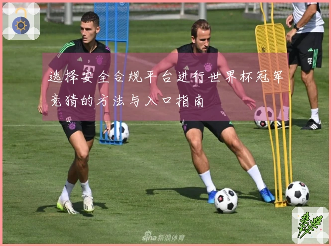 选择安全合规平台进行世界杯冠军竞猜的方法与入口指南