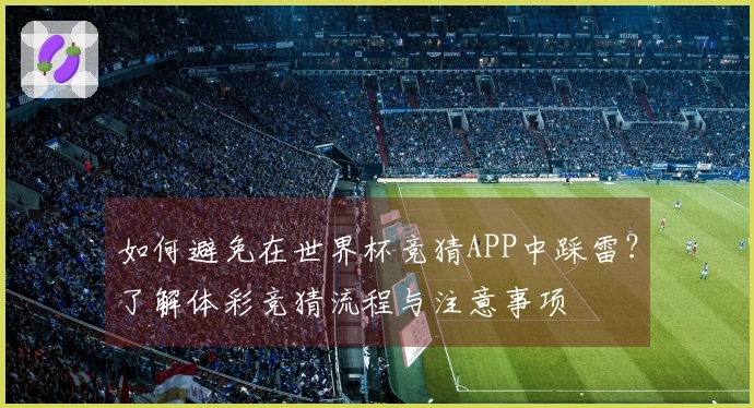 如何避免在世界杯竞猜APP中踩雷？了解体彩竞猜流程与注意事项