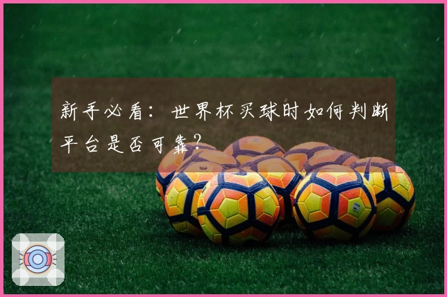 新手必看：世界杯买球时如何判断平台是否可靠？