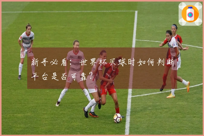 新手必看：世界杯买球时如何判断平台是否可靠？
