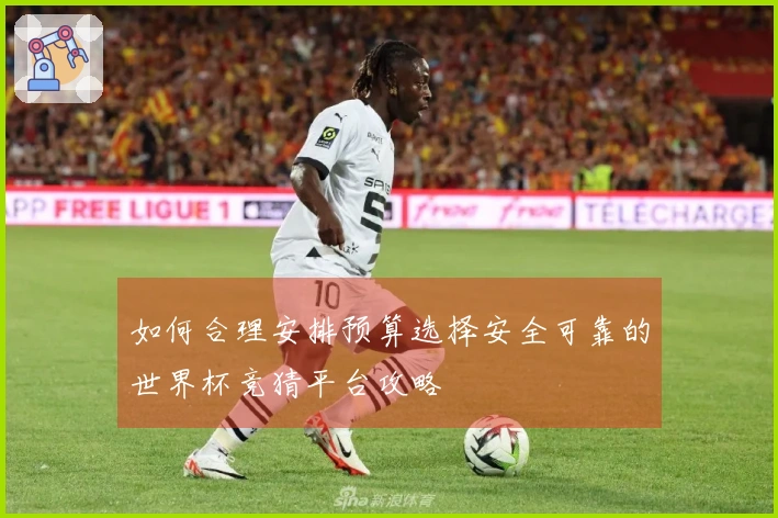 如何合理安排预算选择安全可靠的世界杯竞猜平台攻略