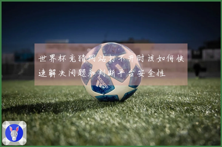 世界杯竞猜网站打不开时该如何快速解决问题和判断平台安全性