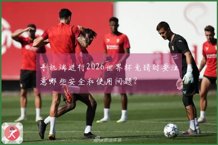 手机端进行2026世界杯竞猜时要注意哪些安全和使用问题？